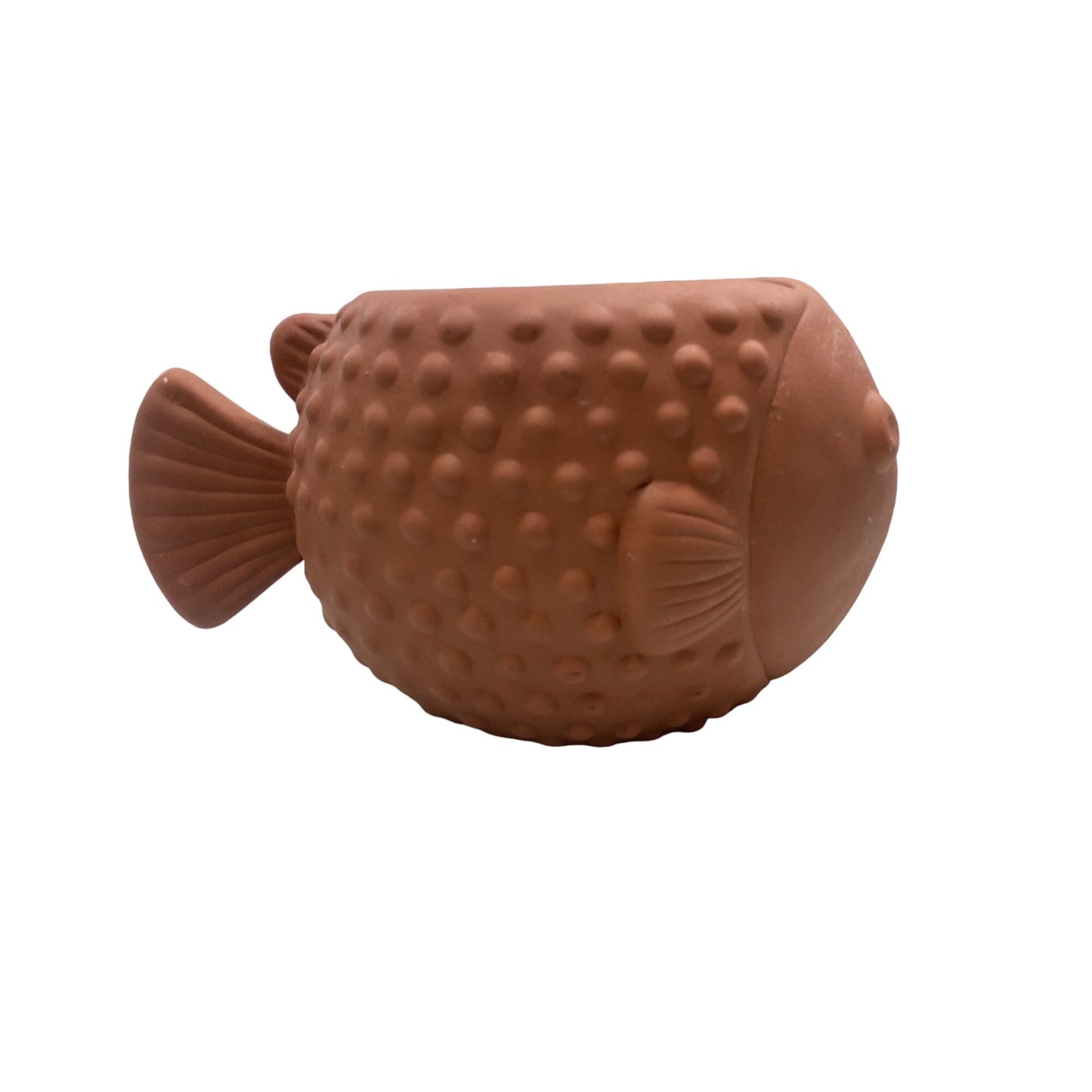 Bath & Bodyworks Terracotta Fish-Shaped Planter With Drainage Holes