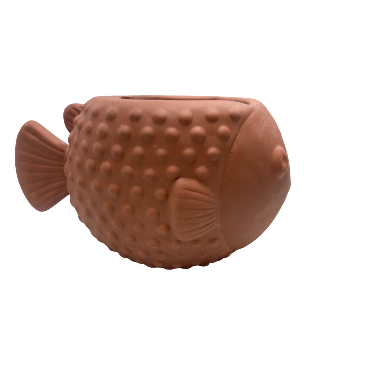 Bath & Bodyworks Terracotta Fish-Shaped Planter With Drainage Holes