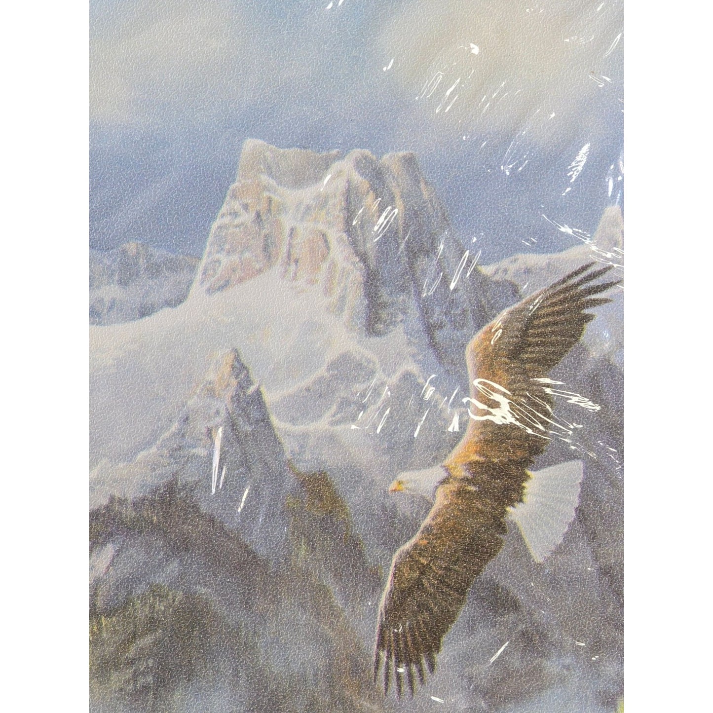 Expressions Pre-Pasted Wall Border