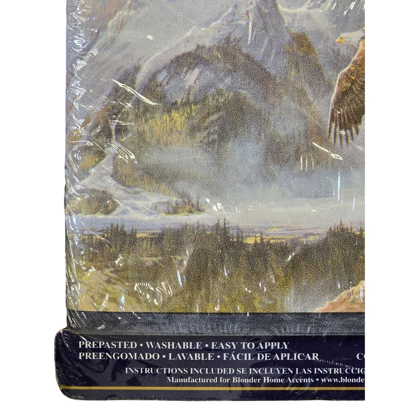 Expressions Pre-Pasted Wall Border