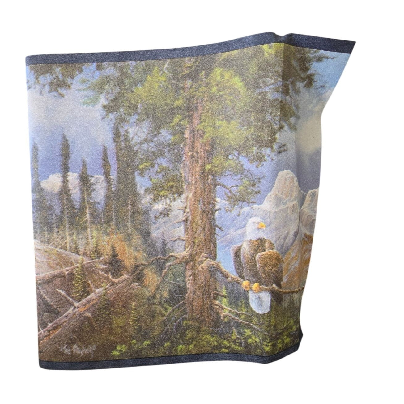 Expressions Pre-Pasted Wall Border