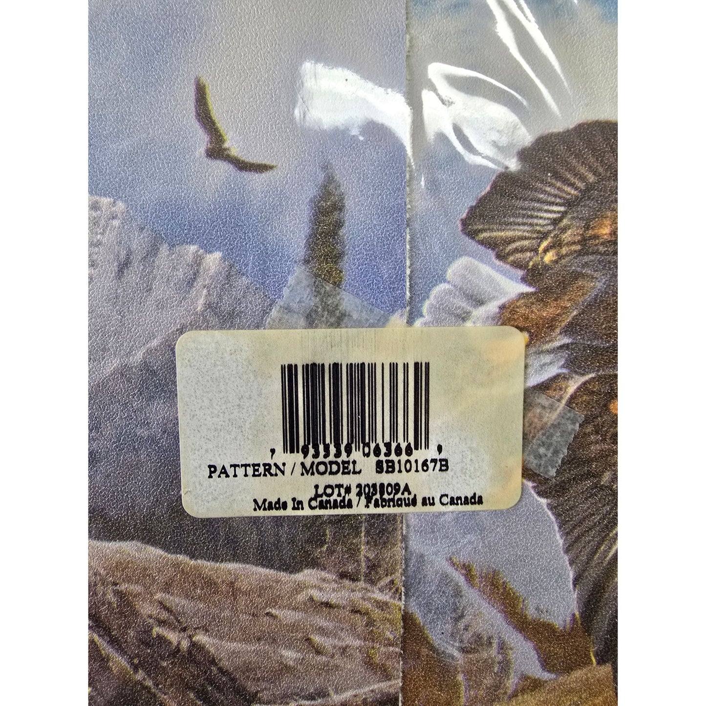 Expressions Pre-Pasted Wall Border