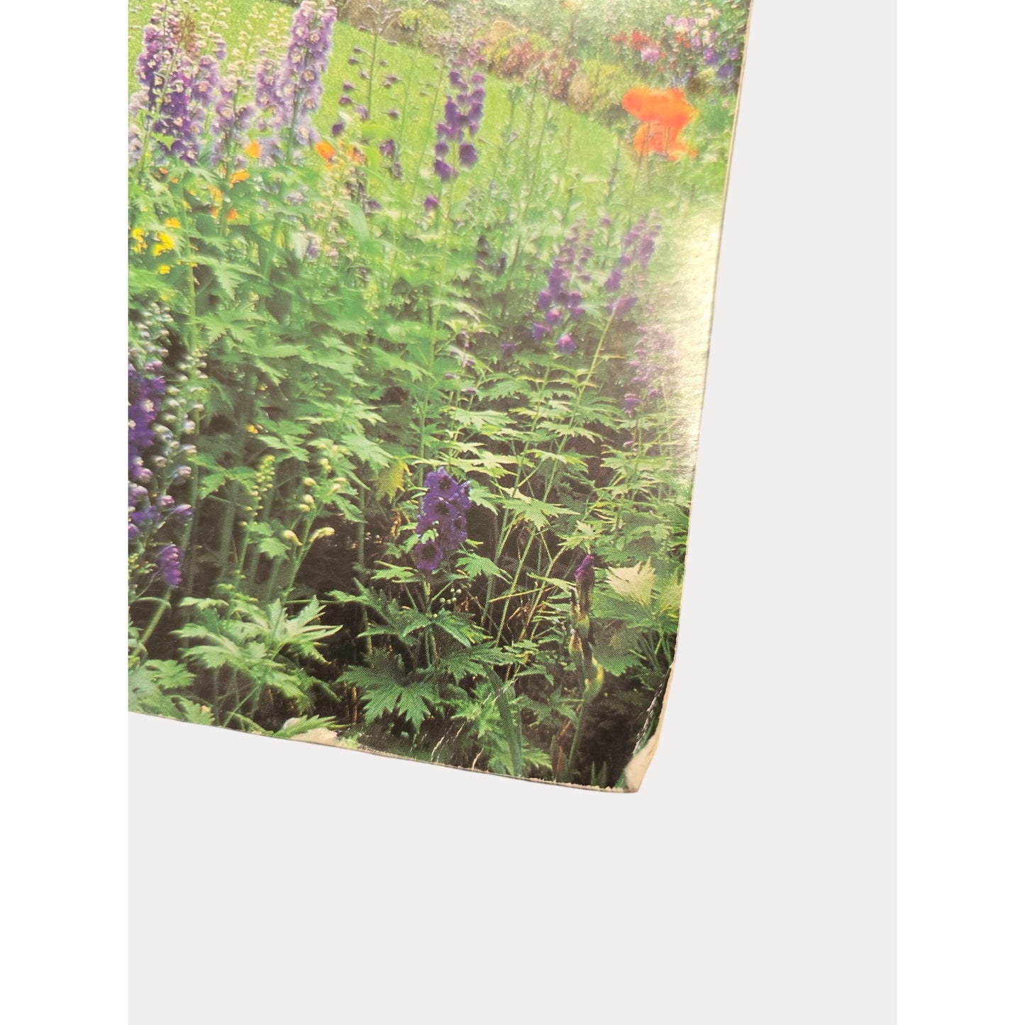 Better Homes And Gardens Step-By-Step Successful Gardening Paperback 1987 First Edition