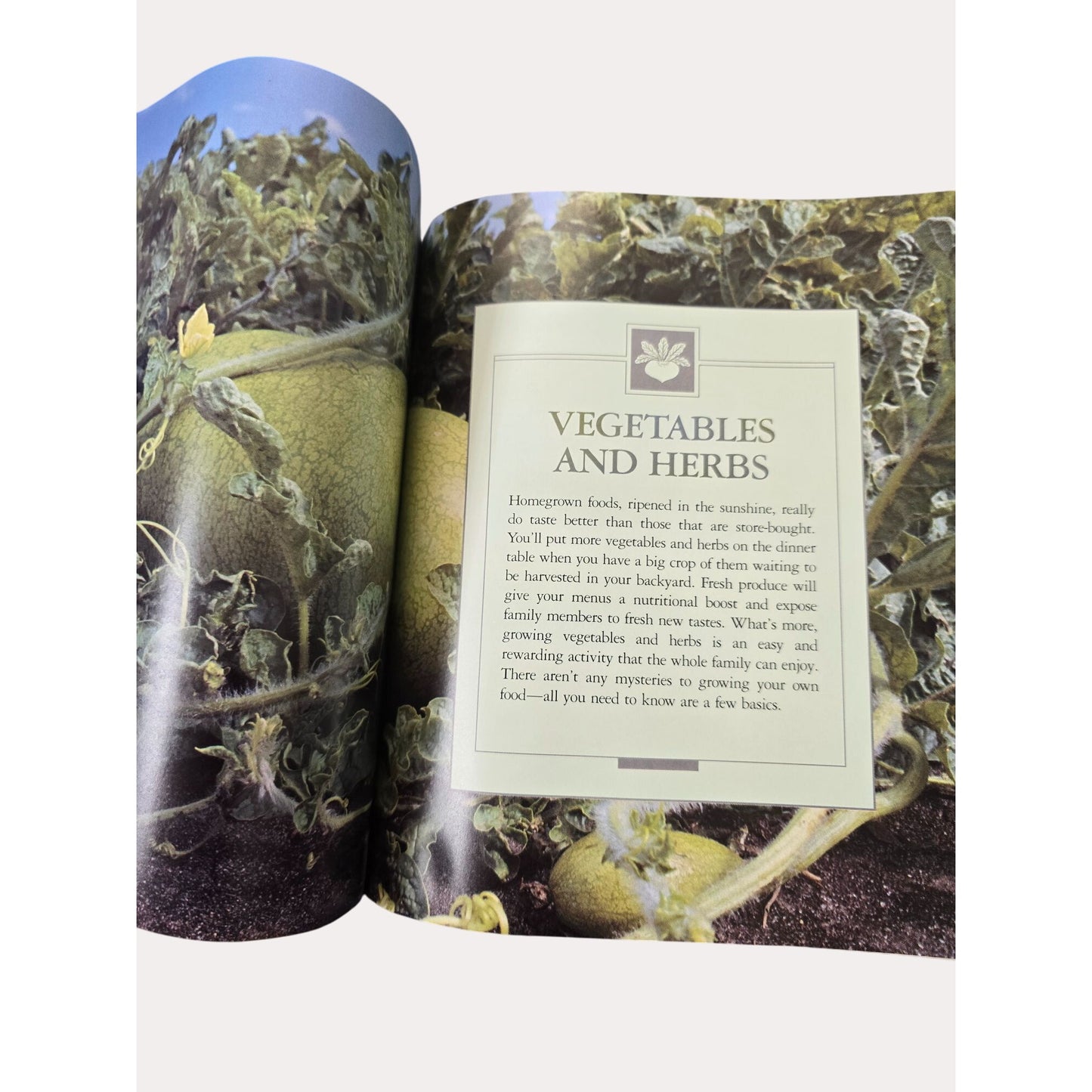 Better Homes And Gardens Step-By-Step Successful Gardening Paperback 1987 First Edition