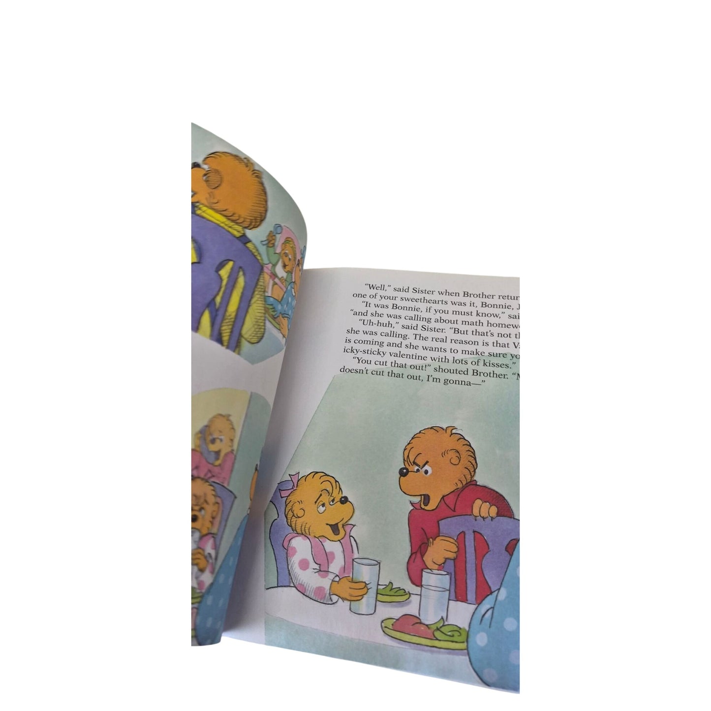 The Berenstain Bears Funny Valentine  2014