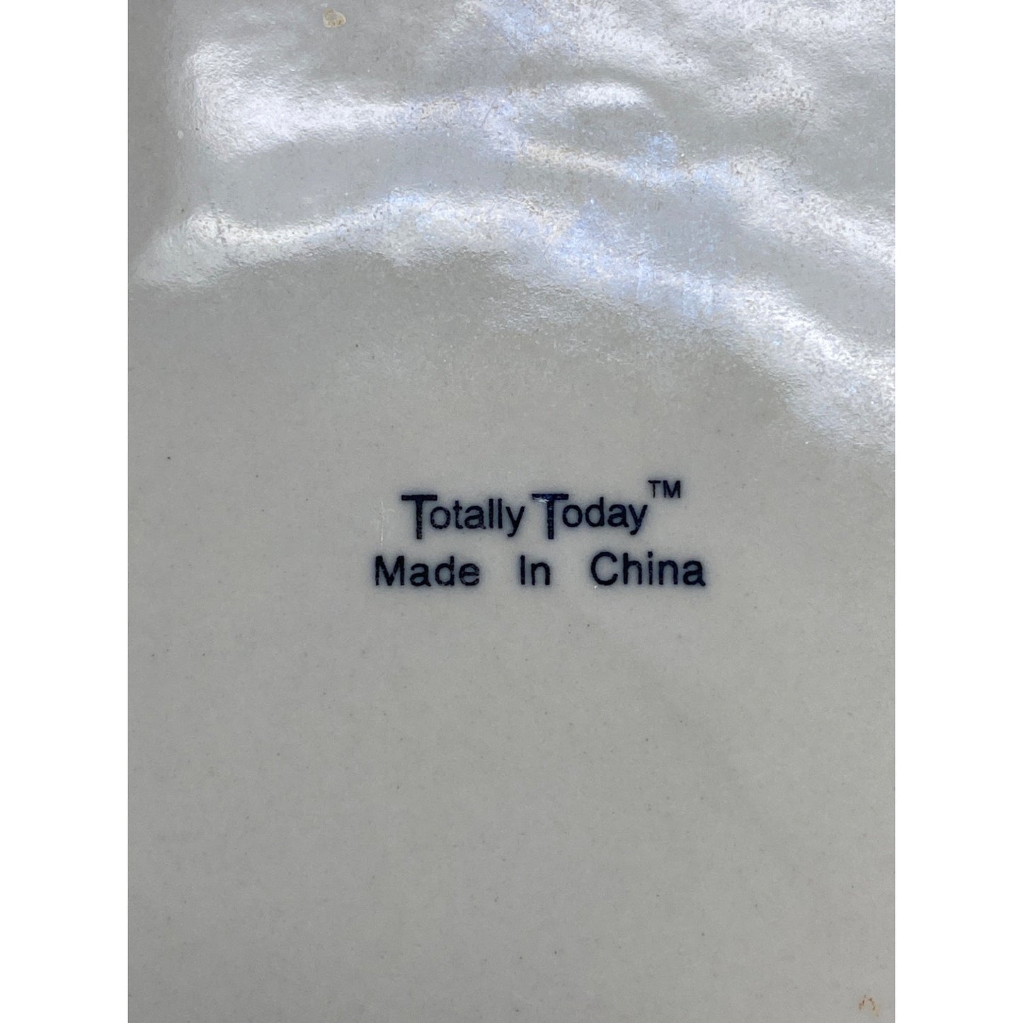 Totally Today Dinner Plates Set 4