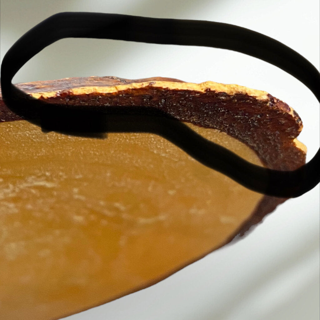 Textured Landscape Painting on Wood 12" Long 4" wide